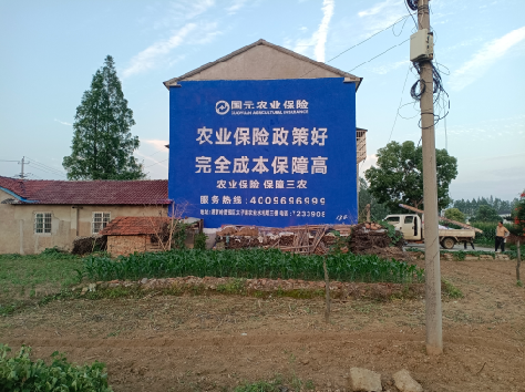 陆良墙体广告为何受追捧？