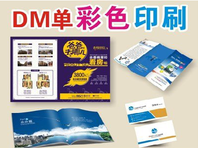 陆良单页印刷，色彩搭配简单。